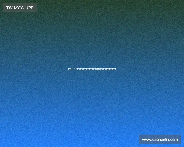 法国U17队力克巴西夺得世界青少年足球锦标赛冠军创历史新篇章