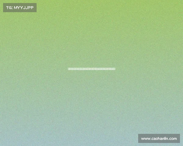 德甲外援的崛起与挑战分析：提升联赛竞争力与多元化发展的关键因素