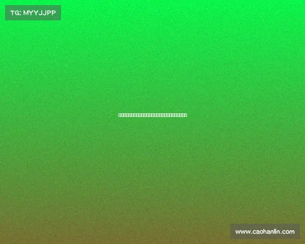 以埃尔切为核心探索西班牙东南部的文化历史与自然风光之旅