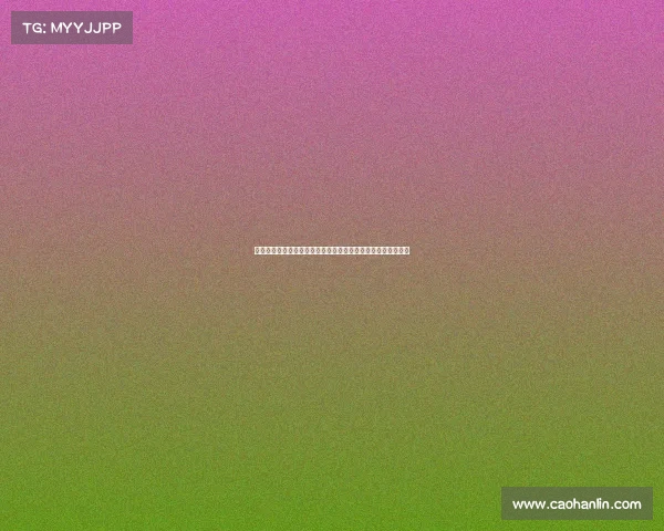 德甲裁判员的职业挑战与技术演进分析如何提升裁判执法精准度