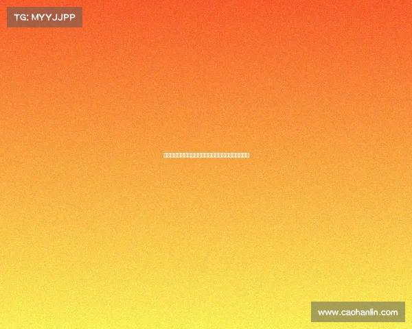 违规行为对社会秩序与个人责任的影响及其防控对策探讨