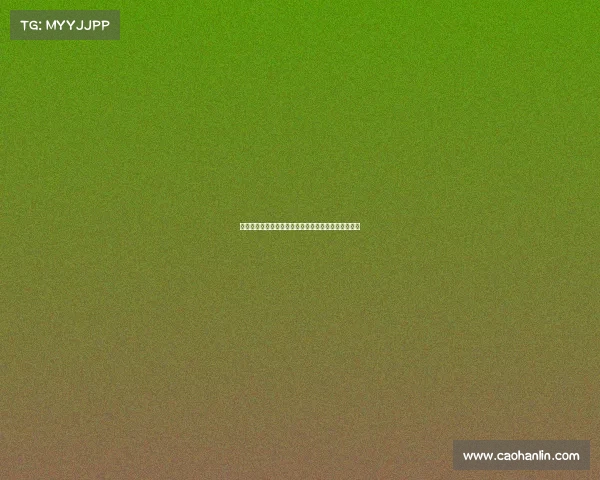 锋无力：从天赋到困境，揭示职业生涯中的选择与挑战