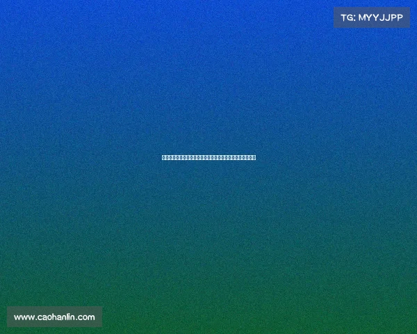 以埃尔切为核心探索西班牙东南部的文化历史与自然风光之旅